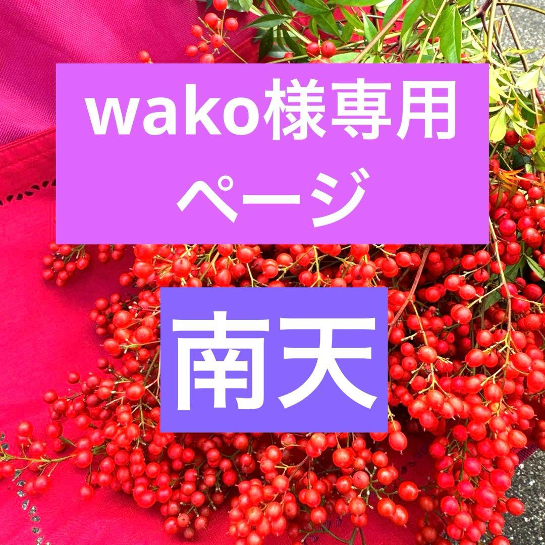 wakoページ