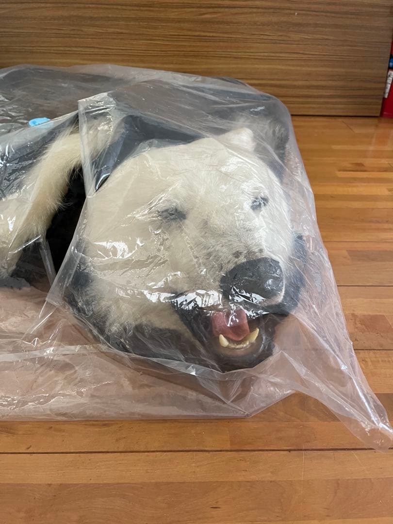 リアルクマの置物 約200cm