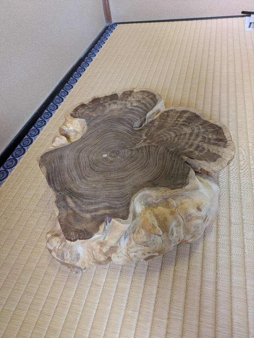 天然木　輪切り　飾り台　花台　床の間　自然形状の切り株