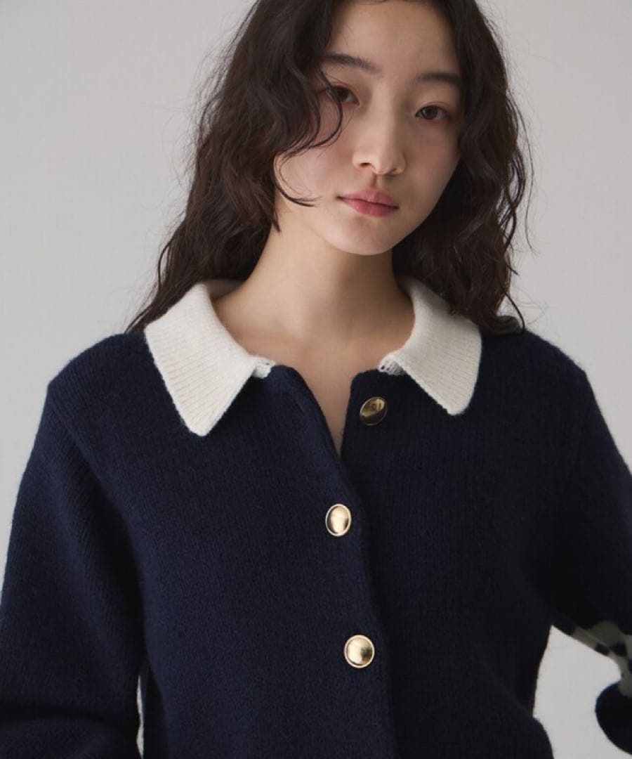 アダムエロペ ADAM ET ROPE ネイビー ポロニット セーター