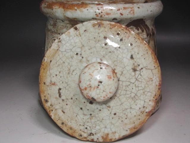 ★　古志野水指　瑞雲　裏千家　十四代　淡々斎の花押がございます★x636