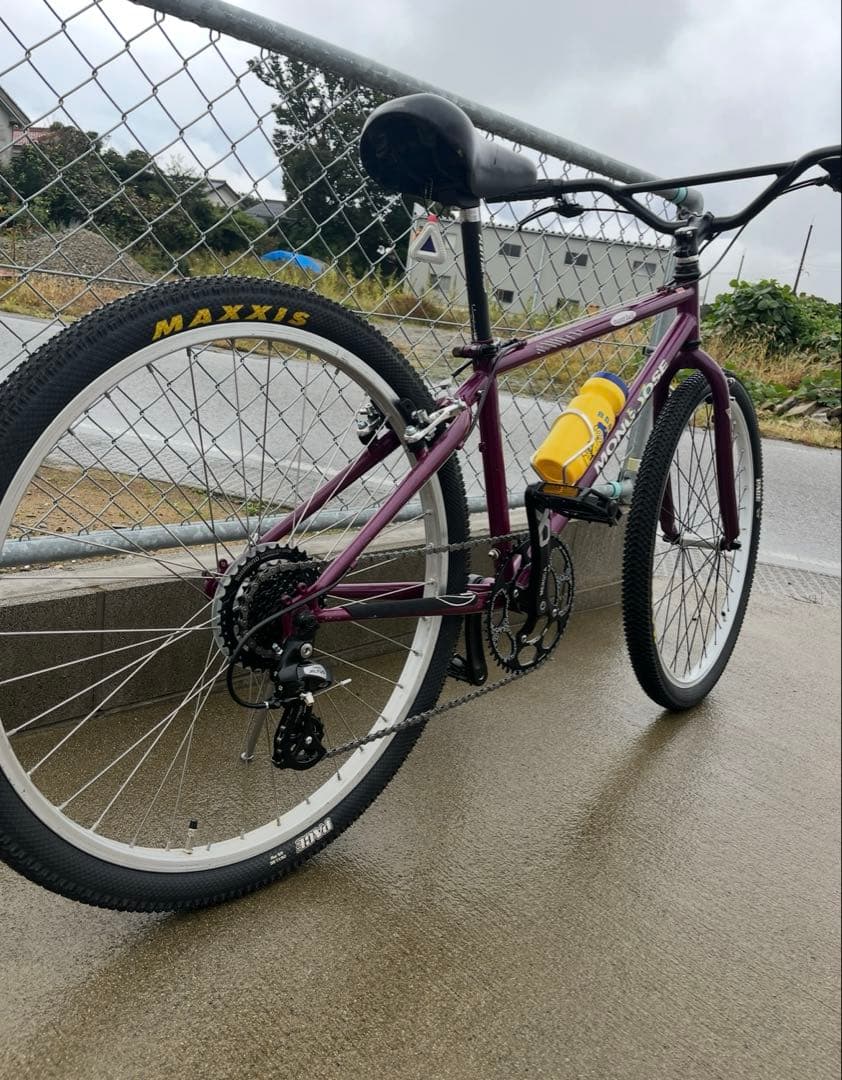 ガレージ保管Mon IBOC old mtb