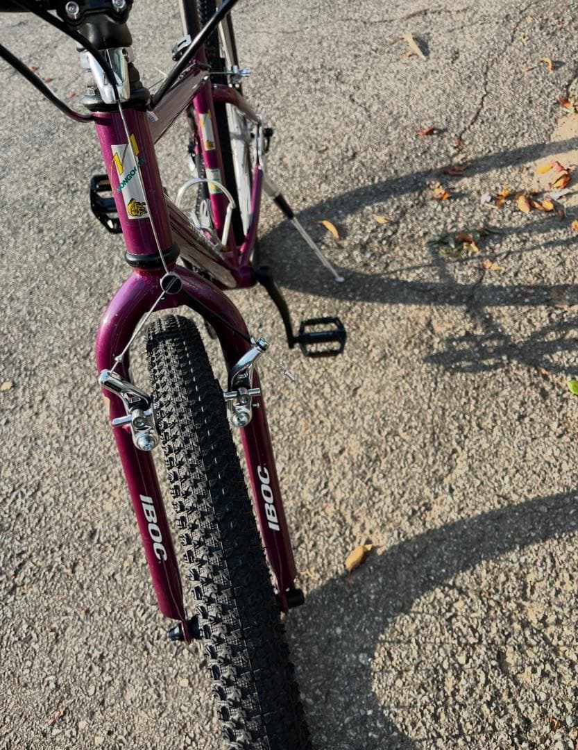 ガレージ保管Mon IBOC old mtb