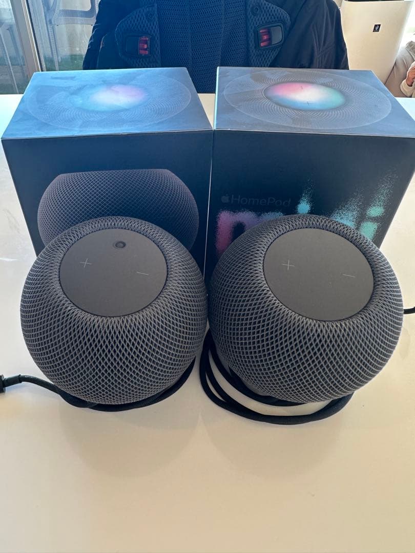 Apple Pod mini スペースグレー 2個セット