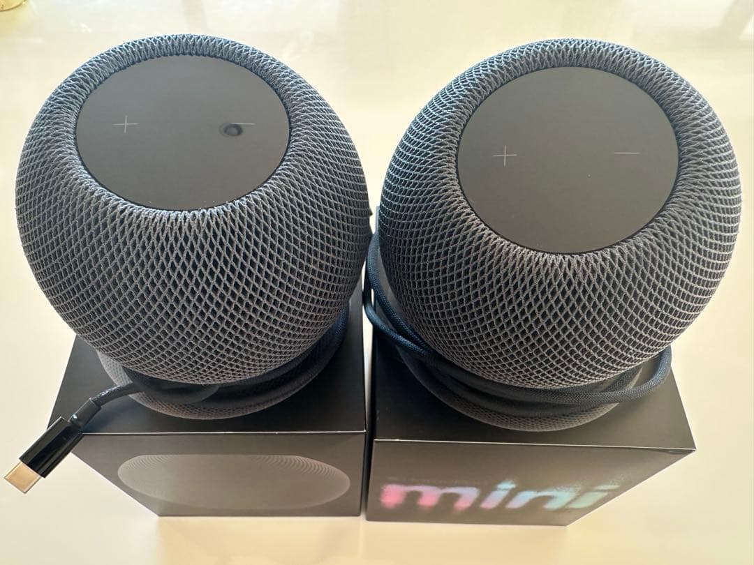 Apple Pod mini スペースグレー 2個セット