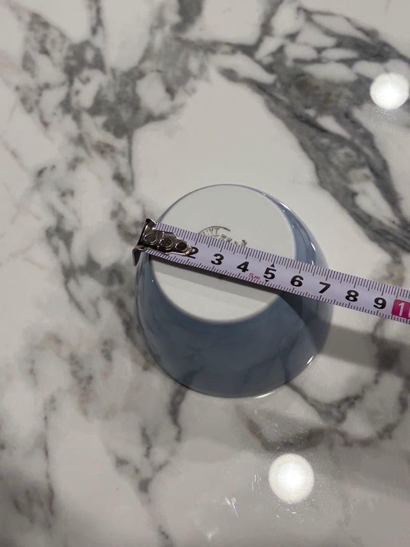 フランス高級老舗【PILLIVUYT（ピリヴィッツ）】プレート&ミニボウル8点