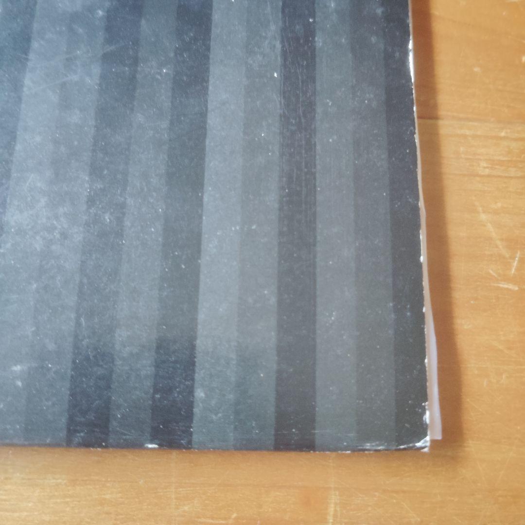 1996 / 坂本龍一 Ryuichi Sakamoto レコード + おまけ