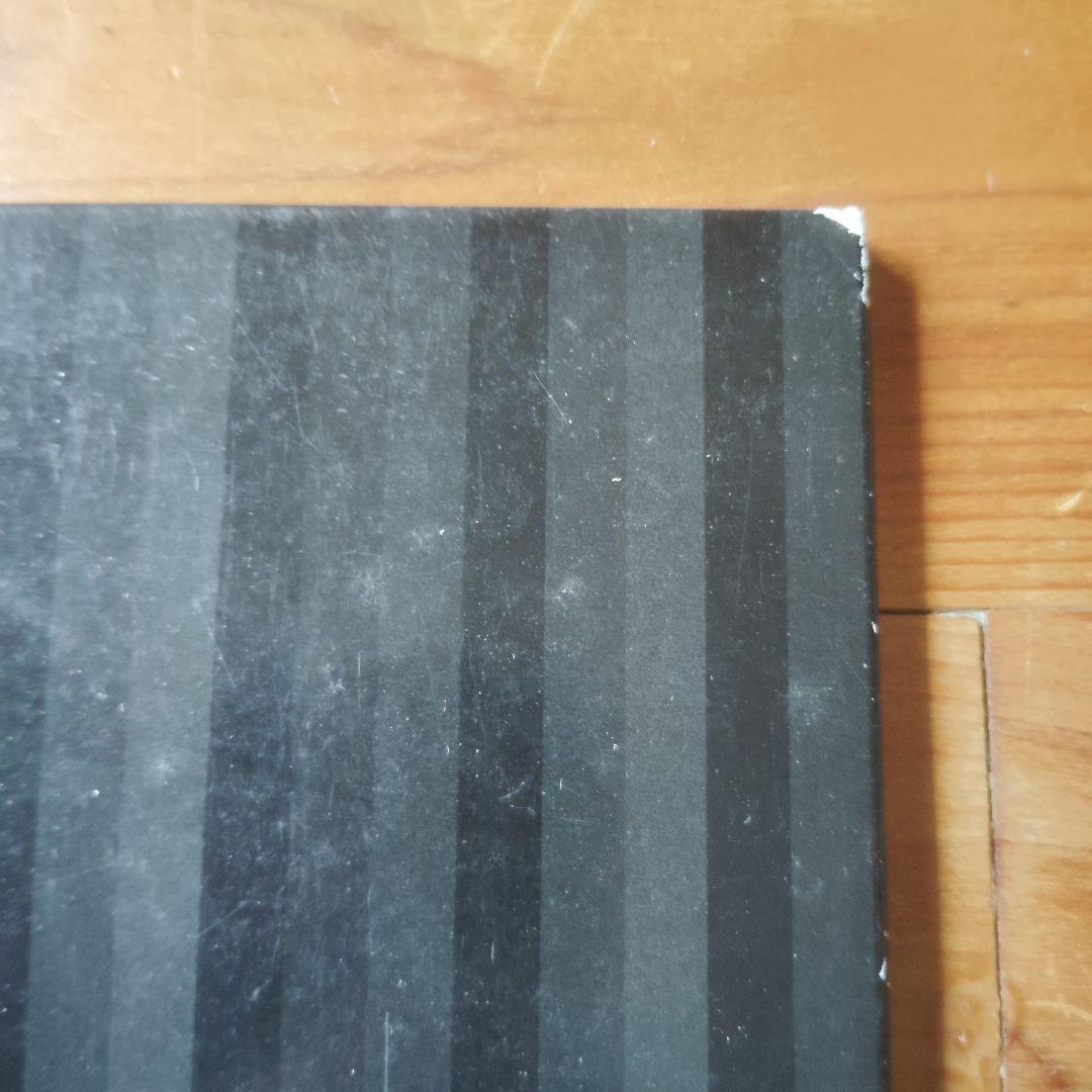 1996 / 坂本龍一 Ryuichi Sakamoto レコード + おまけ