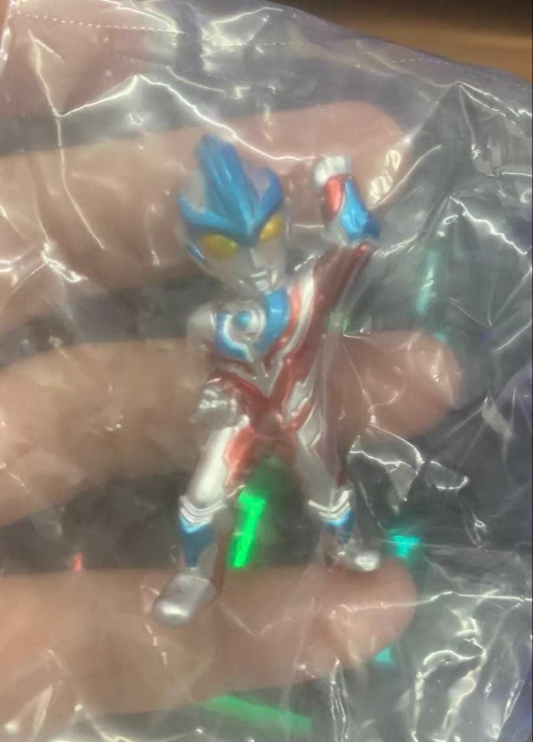 ぴぎちさま専用