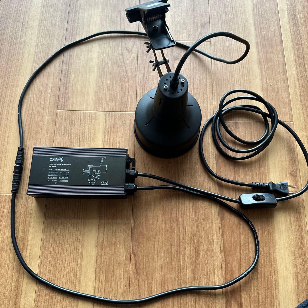 ゼンスイ　ソラリウム(電球無し)