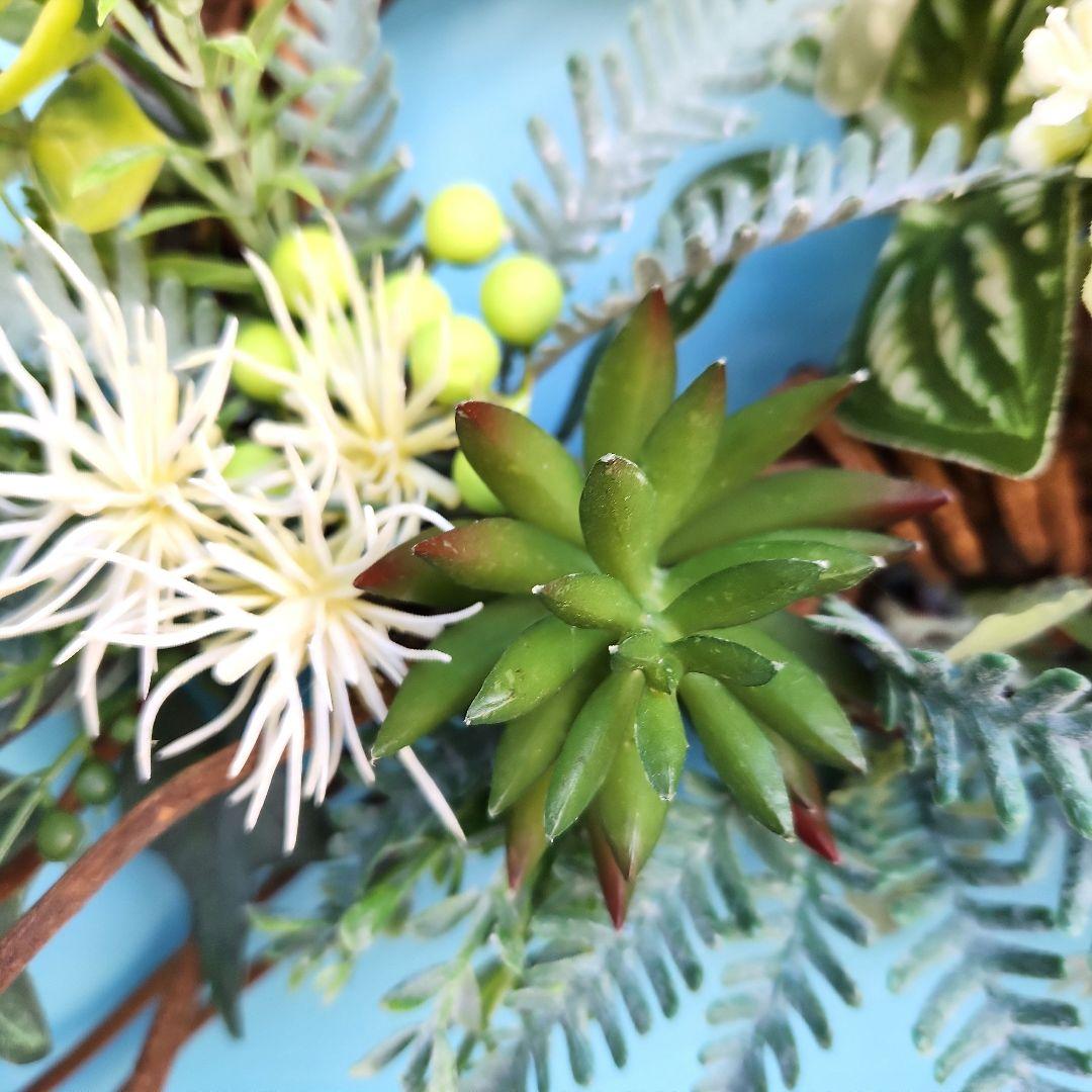 リース281　グリーンリース