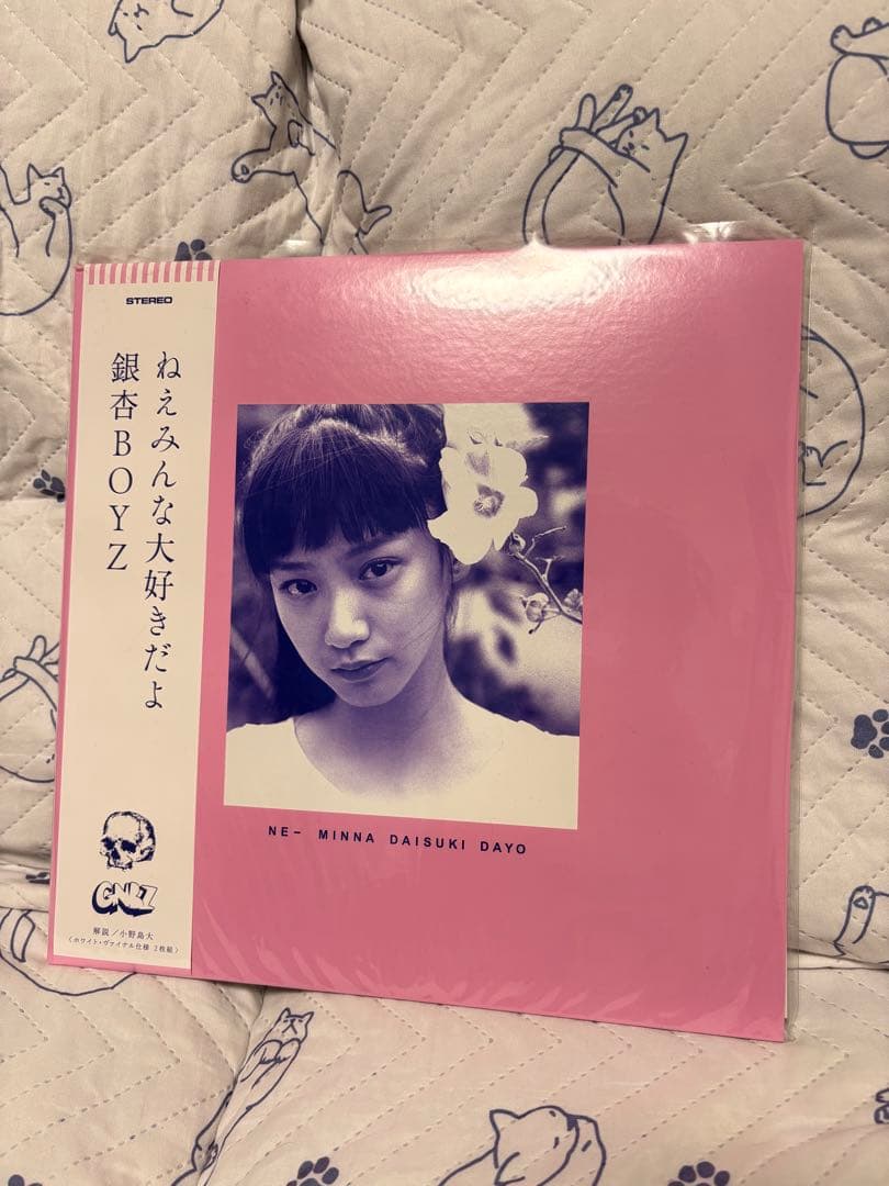 即購入OK 完全未使用品 銀杏BOYZ ねえみんな大好きだよ レコード LP