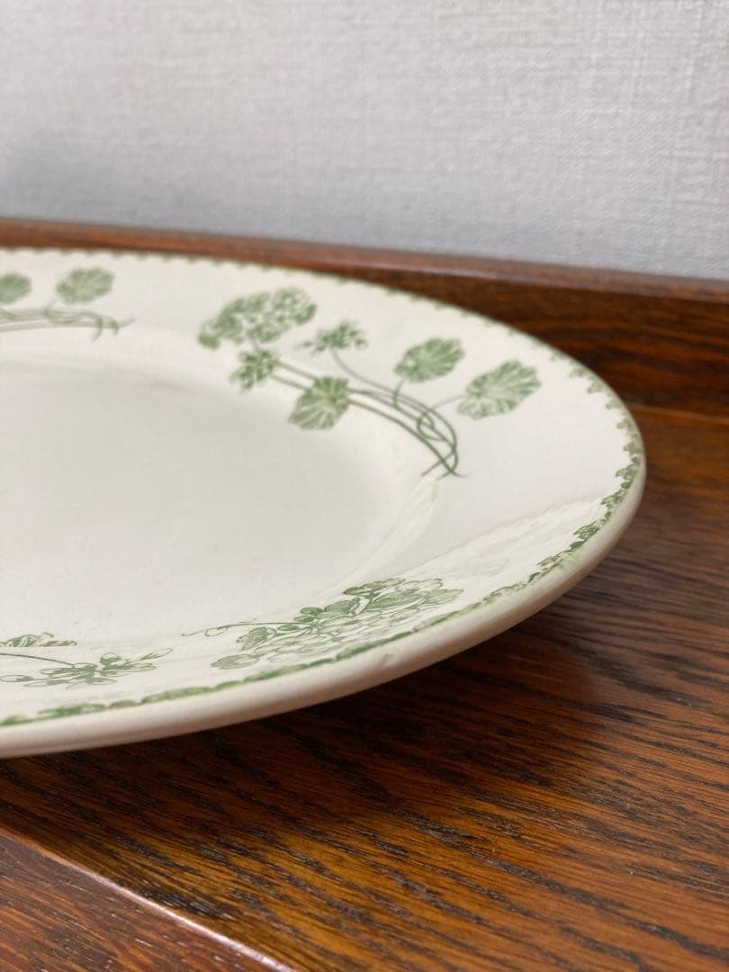 フランス陶器☆サルグミンヌ ゼラニウム オーバルプレート 大皿