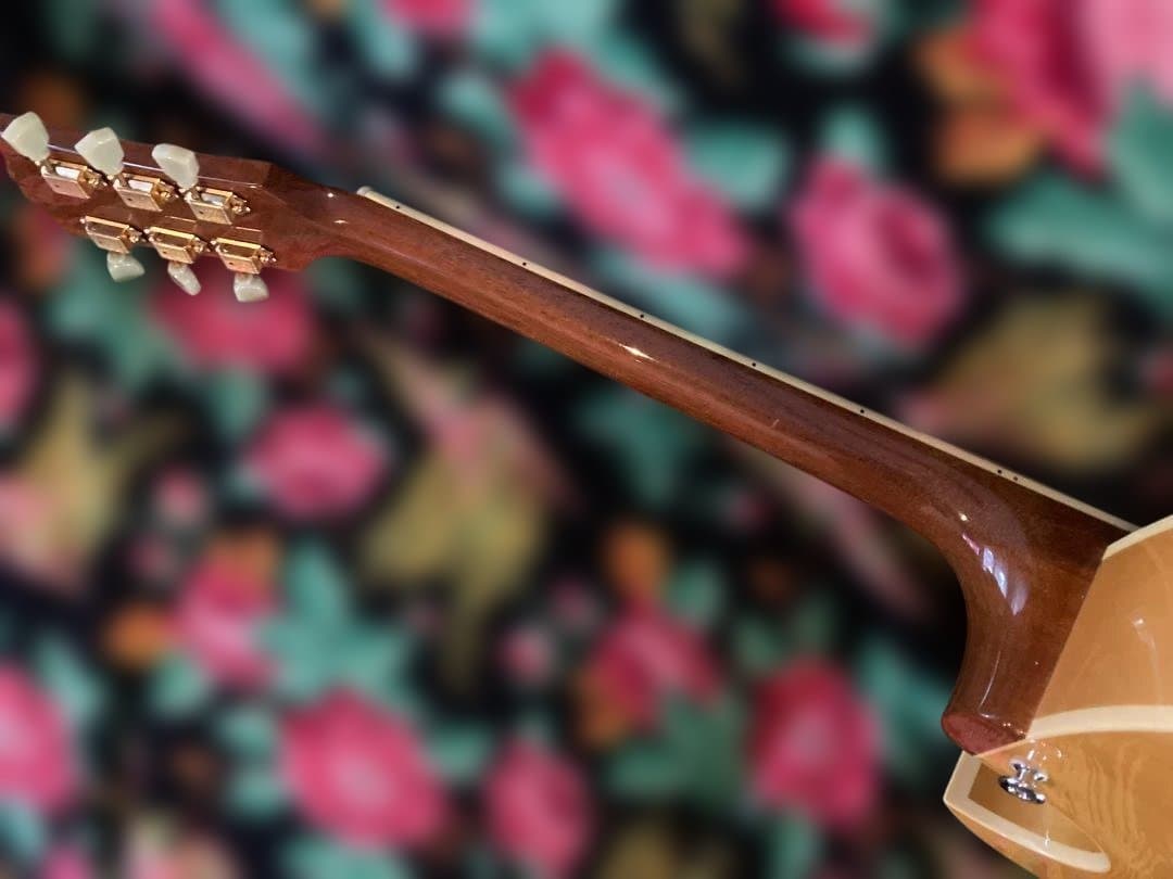 マ*エ様 Archtop Tribute AT-102