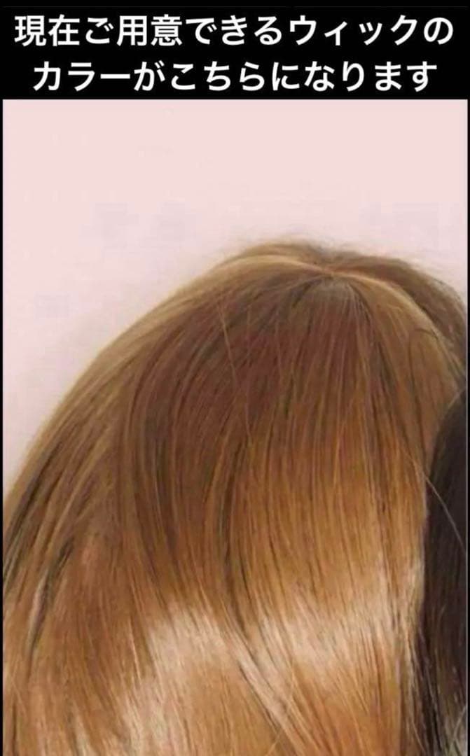 Meme 麦 収穫祭 アナ風 ウィッグ