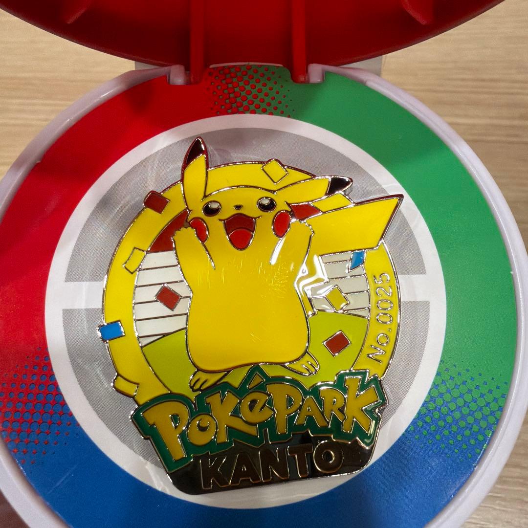 ア*い様 ポケパーク カントー ピカチュウ ピンズ