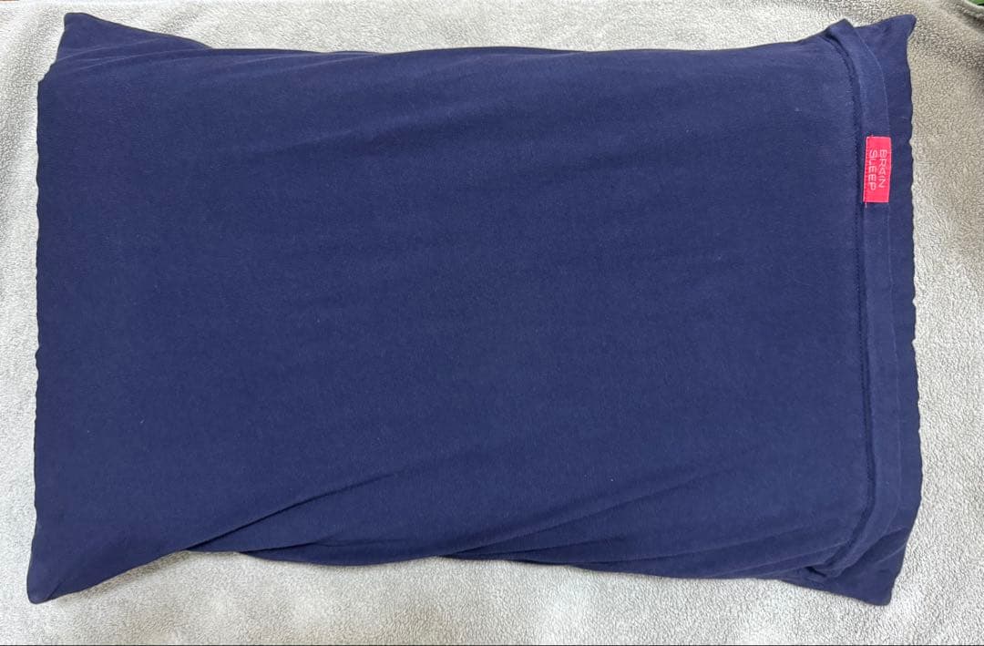 ブレインスリープピロー STANDARD 枕カバー付き