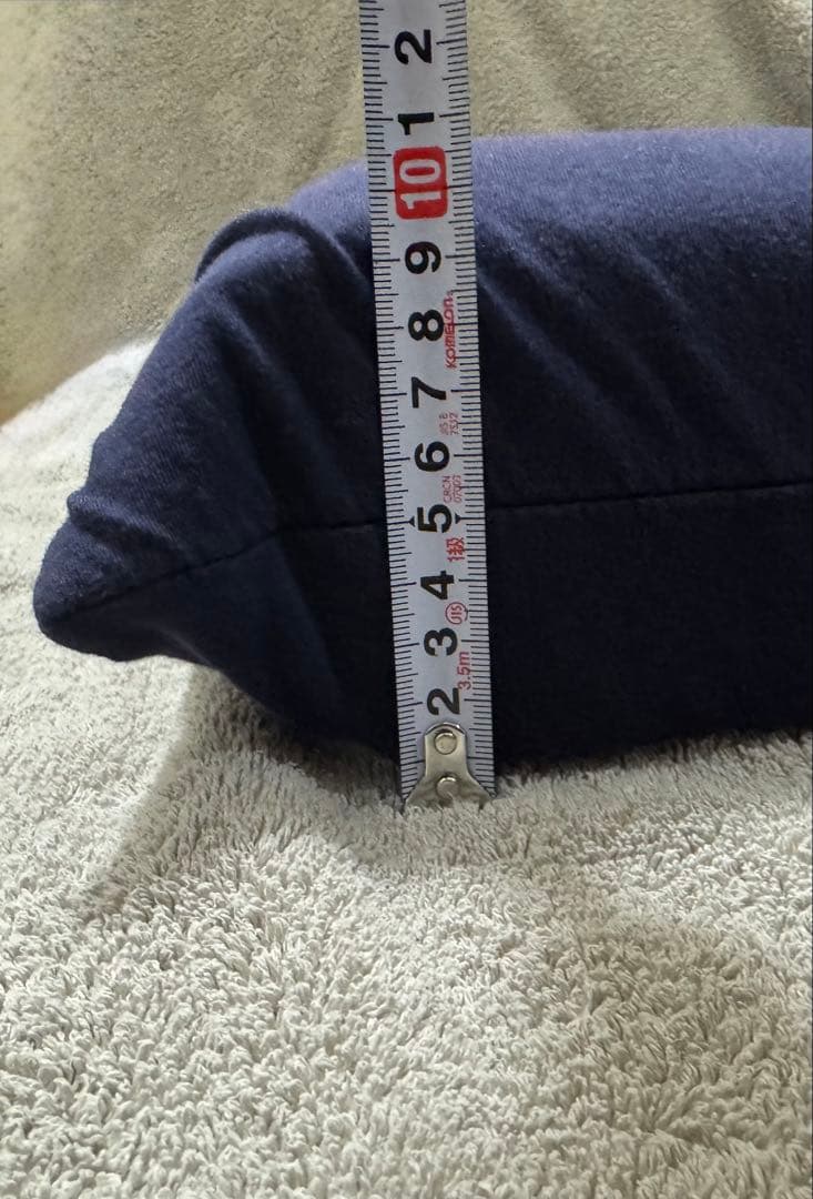 ブレインスリープピロー STANDARD 枕カバー付き