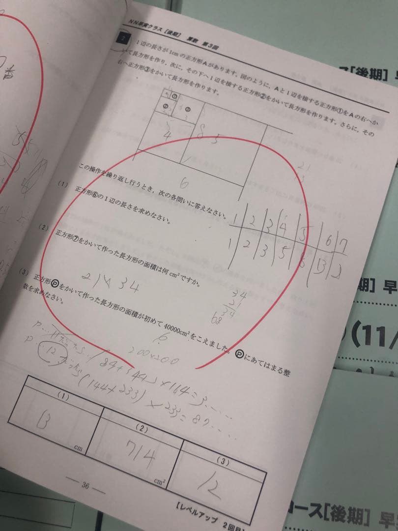 早稲田アカデミーNN早実　前期後期/日特/土特/夏期/正月/直前/副教材2024