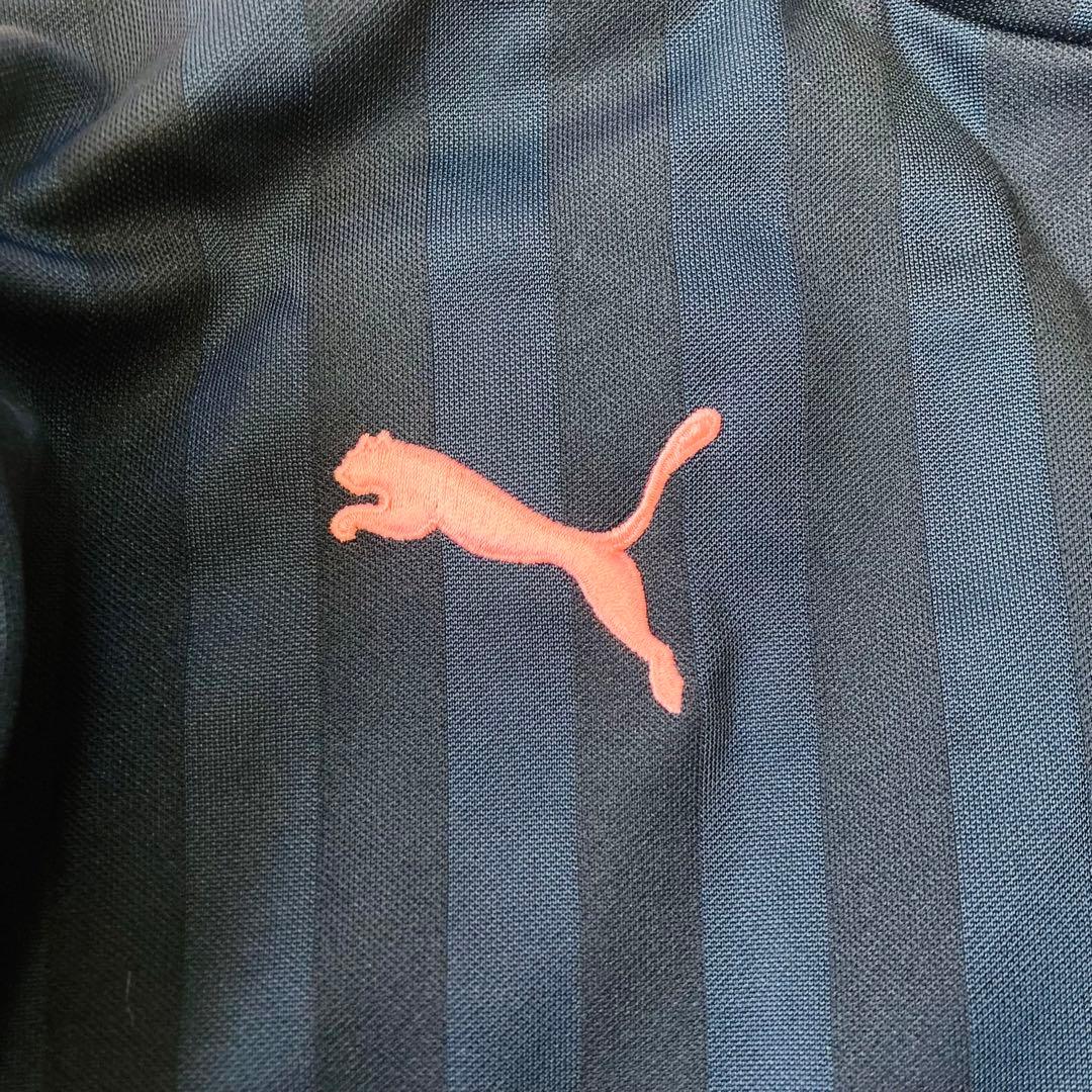 PUMA プージャー　セットアップ　ピンク　刺繍ロゴプリント