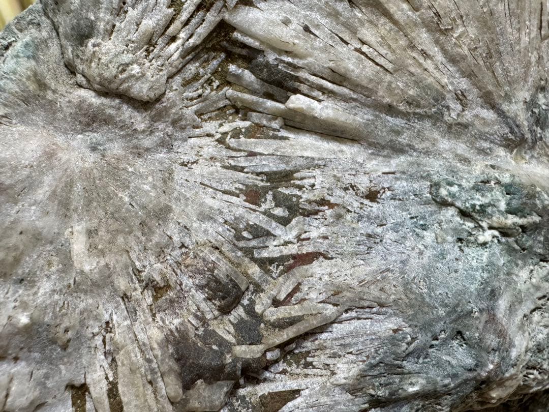 大型 下仁田 菊花石 菊寿石 鑑賞石 水石 自然石 盆石 盆栽 木製台座付き