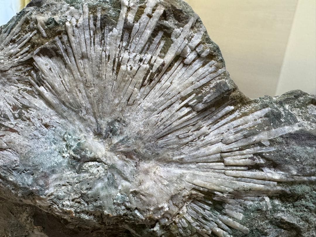 大型 下仁田 菊花石 菊寿石 鑑賞石 水石 自然石 盆石 盆栽 木製台座付き