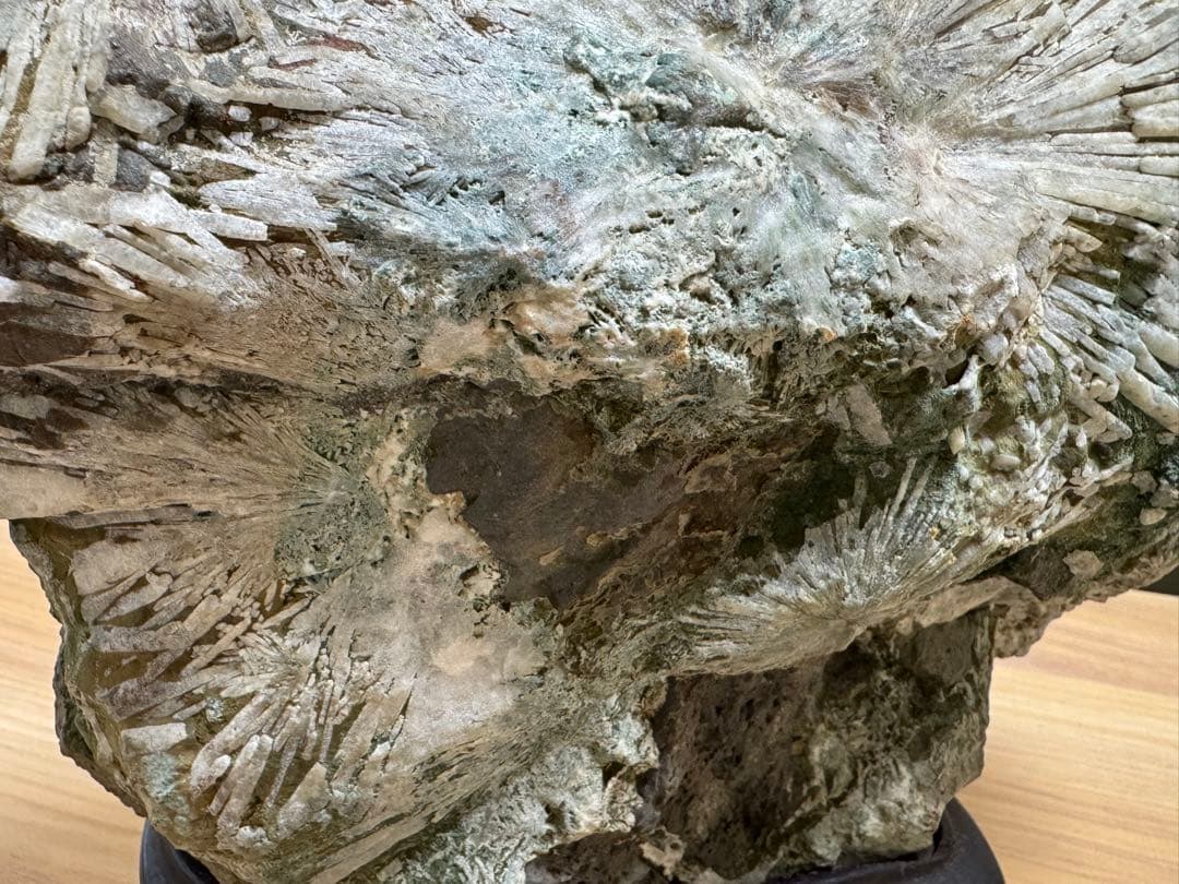 大型 下仁田 菊花石 菊寿石 鑑賞石 水石 自然石 盆石 盆栽 木製台座付き