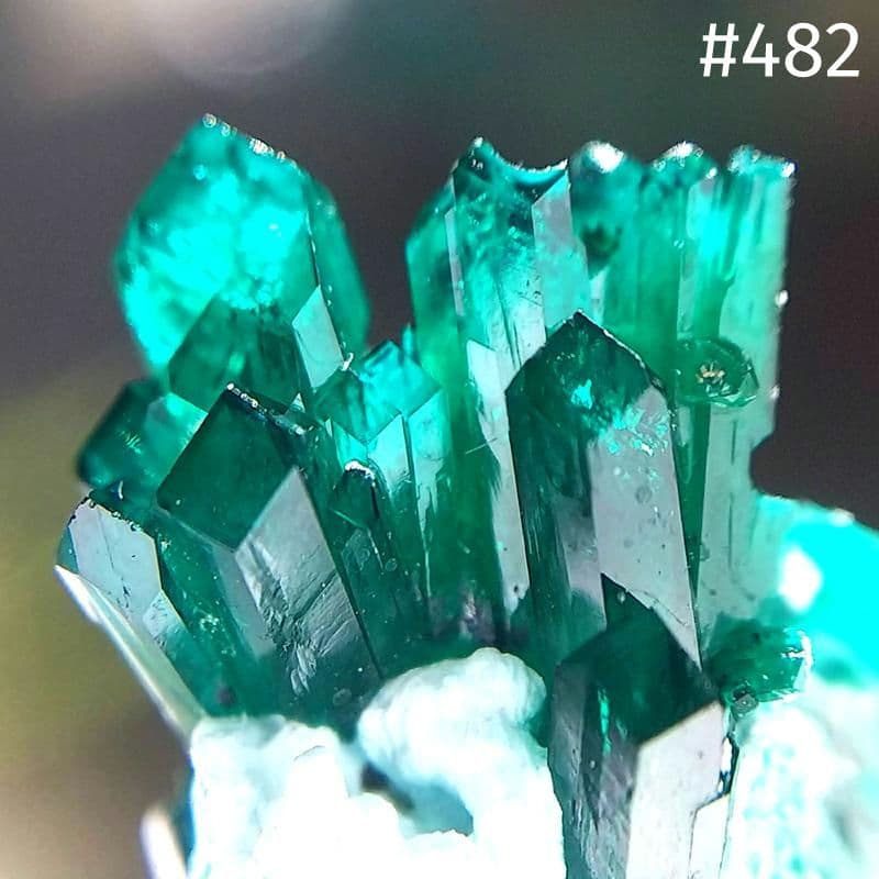 482 ダイオプテーズ 翠銅鉱 クラスター コンゴ産