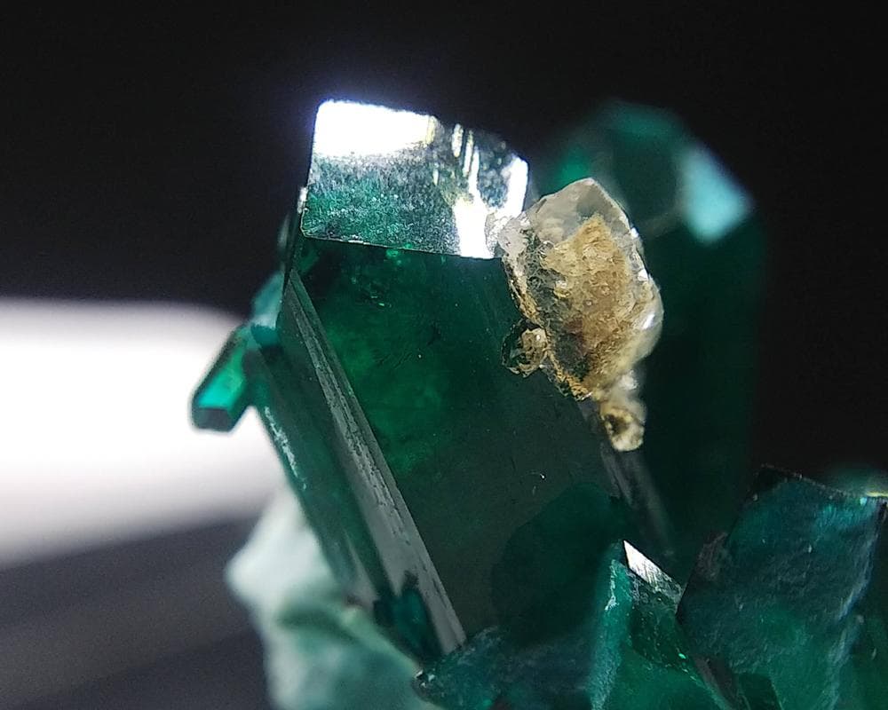 482 ダイオプテーズ 翠銅鉱 クラスター コンゴ産