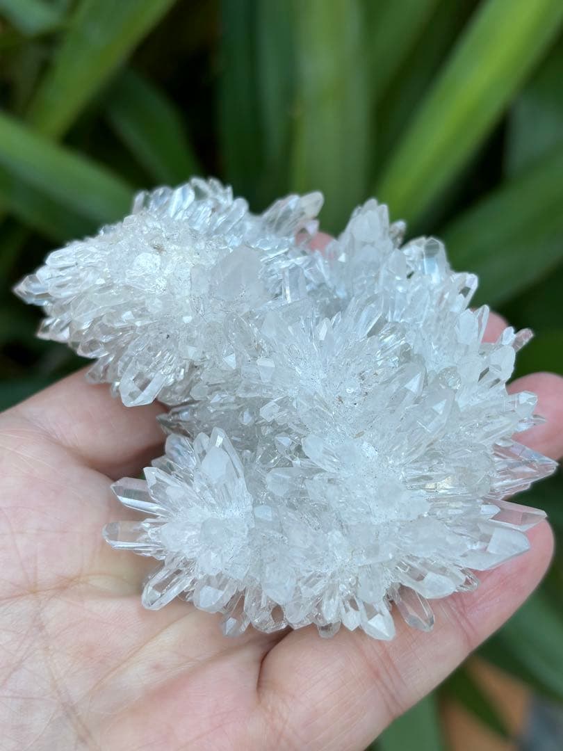 中国四川省産　本物　菊花水晶クラスター　193g 透明　光沢　天然石