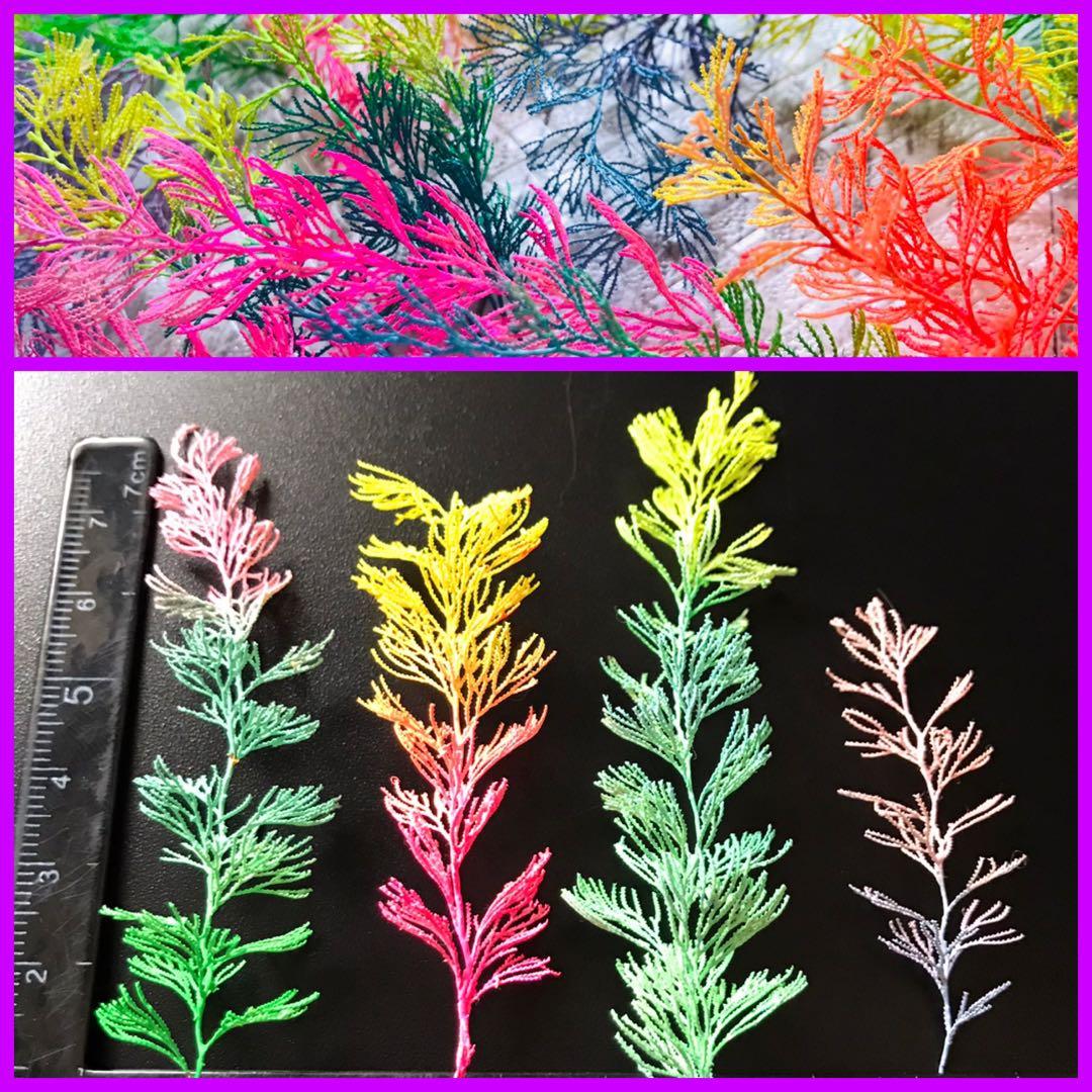 琉球*海花セール　カラフル エアファーン　0529-8