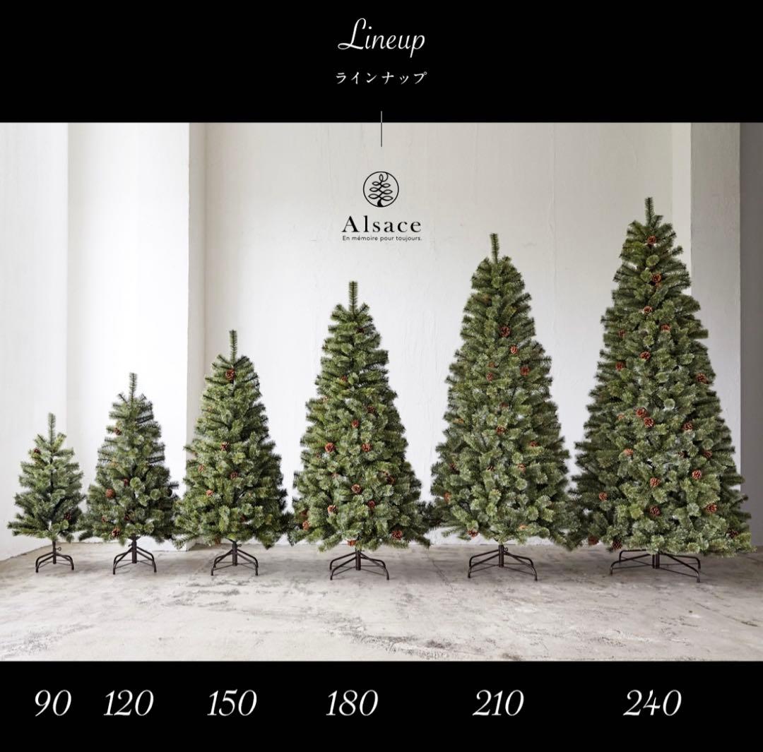 2024年度　Alsace アルザス クリスマスツリー 180 cm
