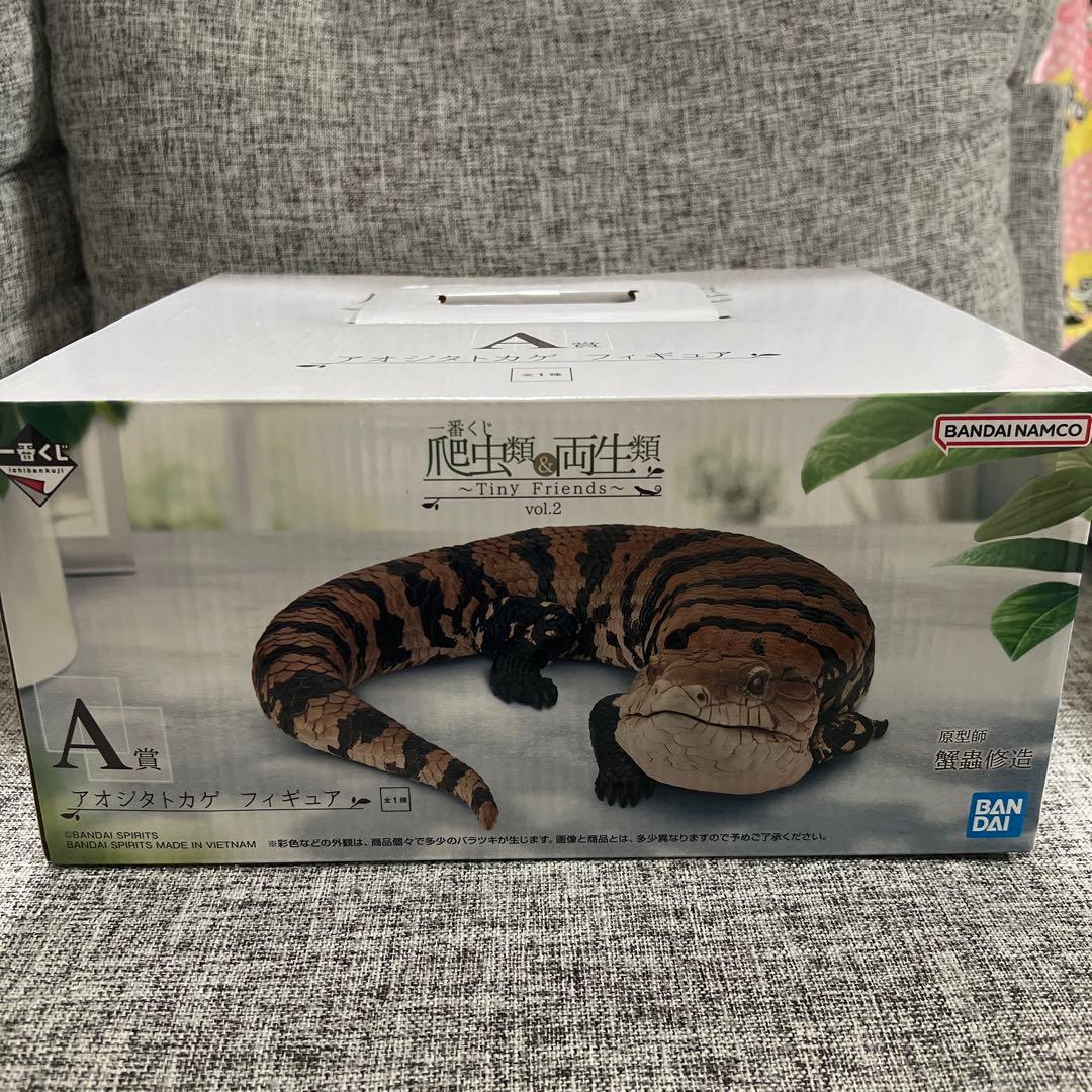 爬虫類　一番くじ　Ａ賞