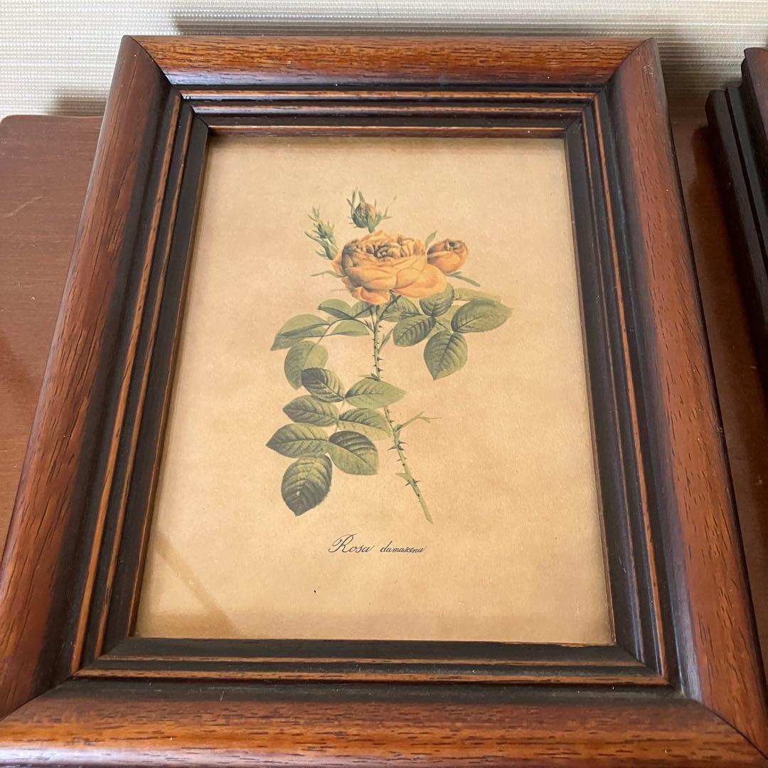 ボタニカルアート　セット　イタリア製　アンティーク　ヴィンテージ