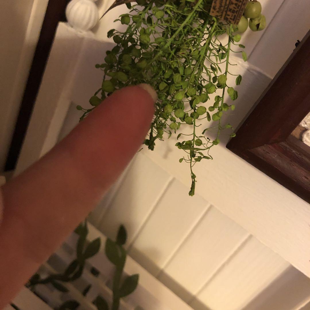 mymero様❤️専用　ブリザードフラワーのミニ花束　ドールハウス小物　ブライス