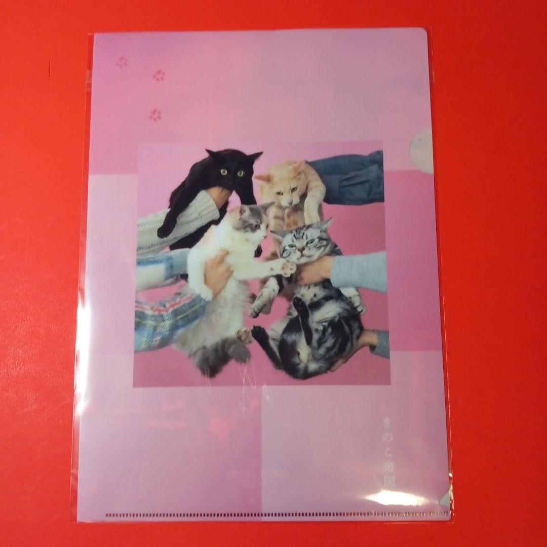 きのこ帝国　佐藤千亜妃　LP レコード　3枚セット　羊文学　カネコアヤノ