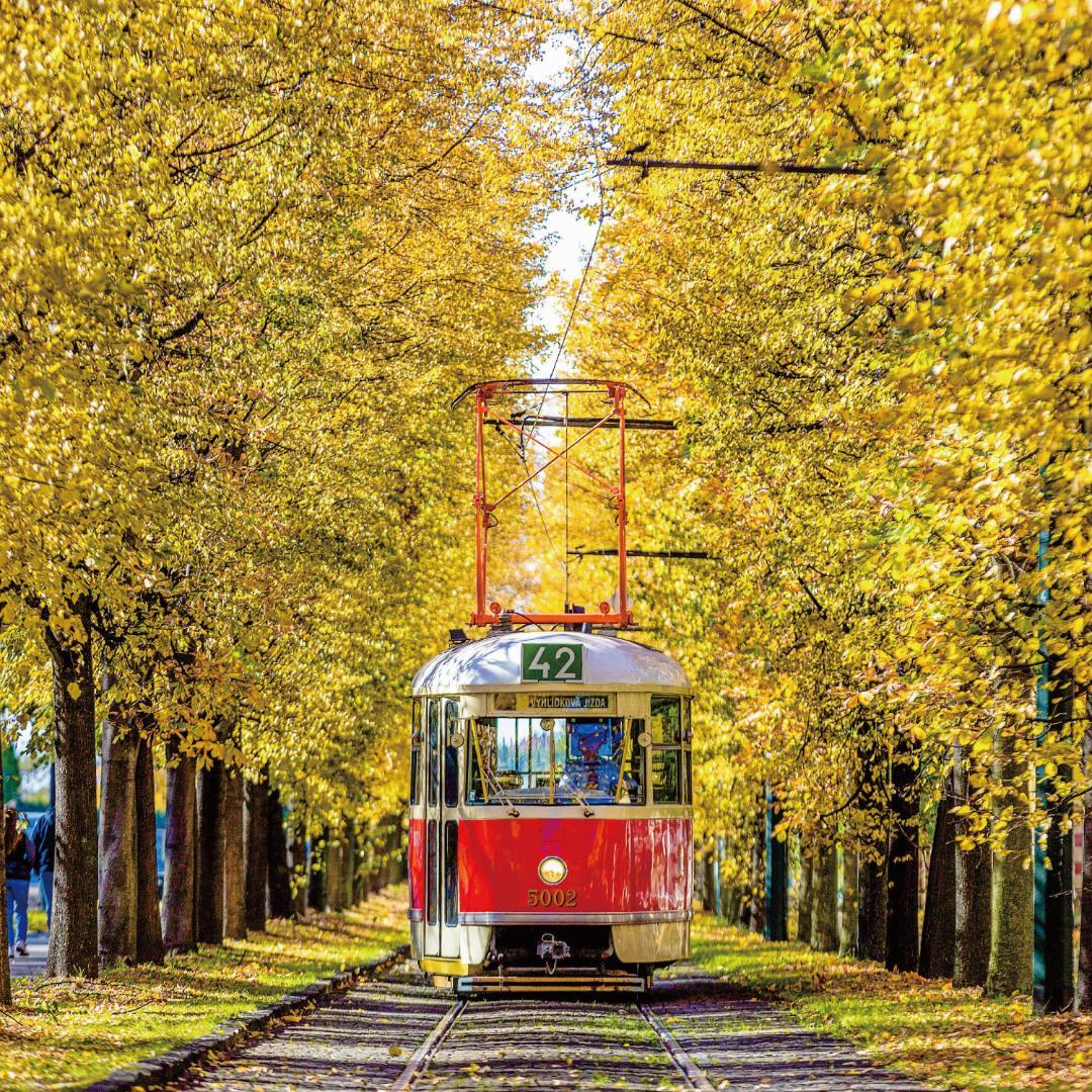 uc-77　路面電車の写真＆コニカ大きなフォトフレーム