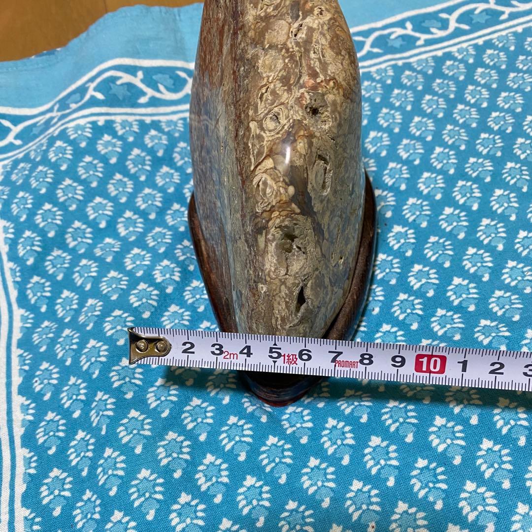 赤花紋　梅花紋　菊花石　鑑賞石