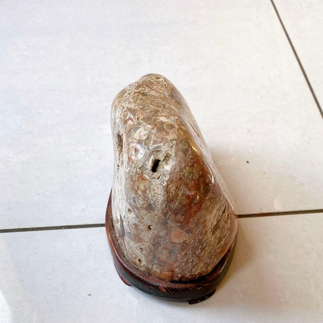 赤花紋　梅花紋　菊花石　鑑賞石