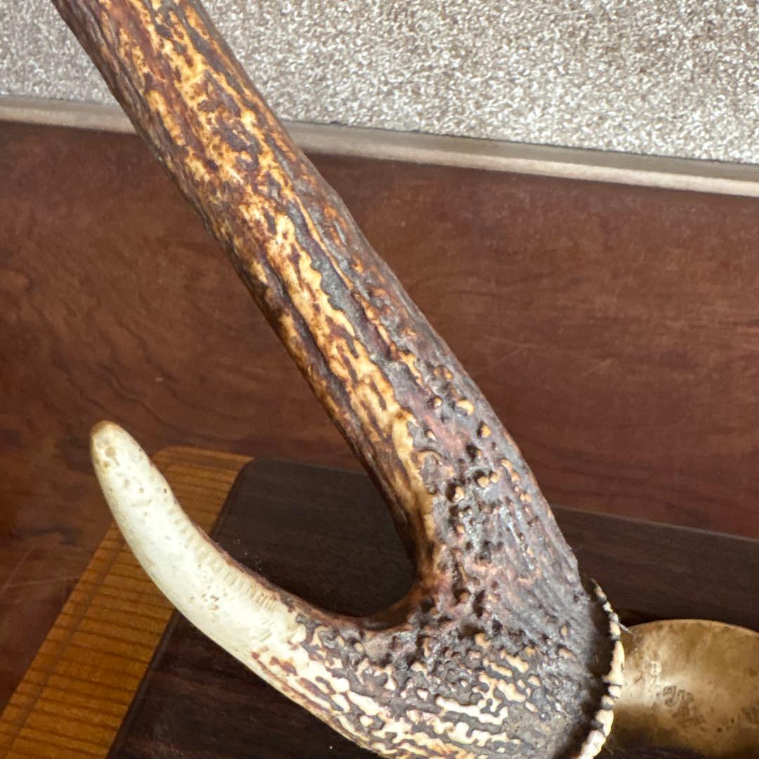 鹿の角　台座付き