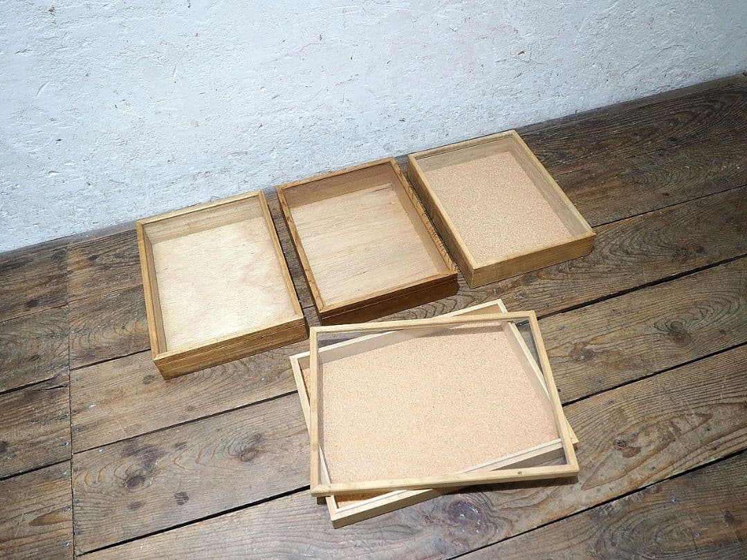 1389 ①蓋付 レトロな標本ケース(小)4個セット　ガラスケース　コレクション