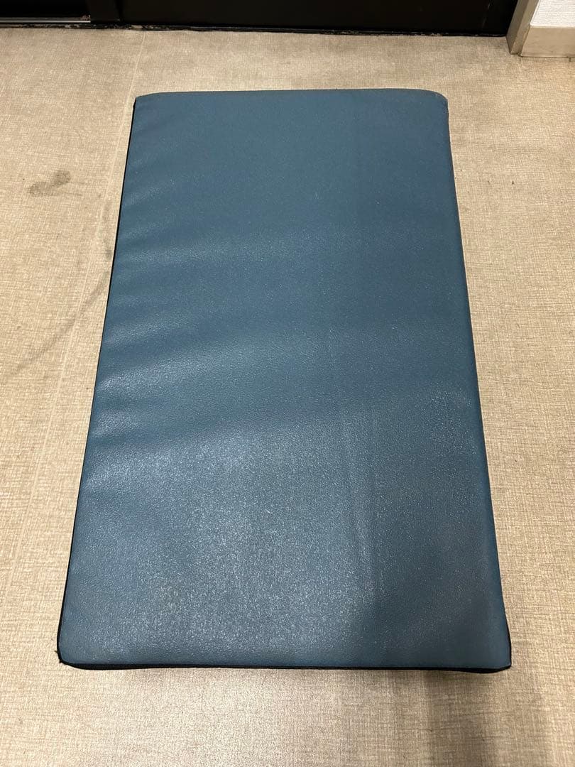 サンテプラス　フレックスバレル　クジラ型