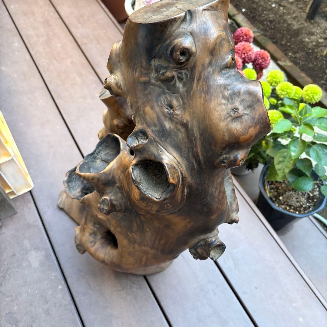 貴重 送料込み 高さ70cｍ 天然木の置物 木の洞 衝立　オブジェ インテリア