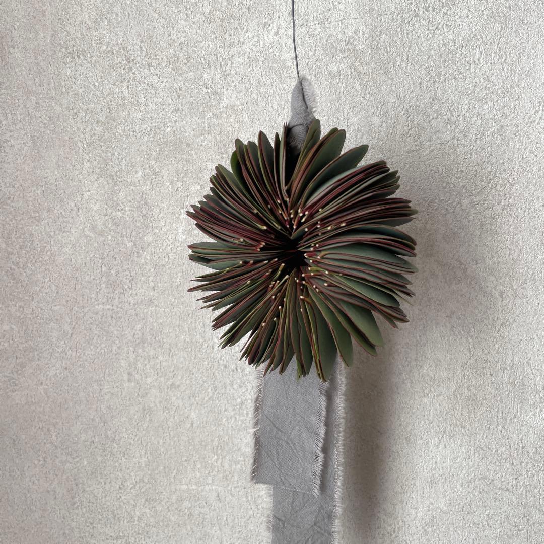 【サンプル】ユーカリミルフィーユリース