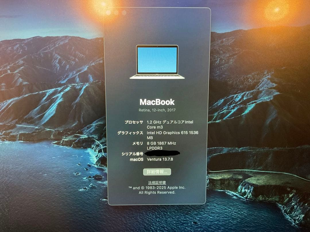 K*e様 Apple MacBook 12インチ シルバー極上美品