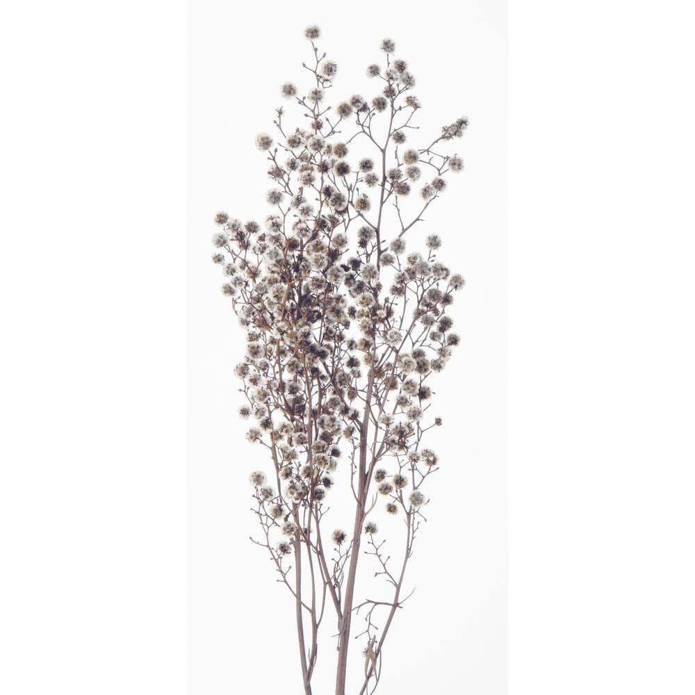 【約60cm大きなブルースワッグ】「夜明けのブルー」LLふっくらタイプ