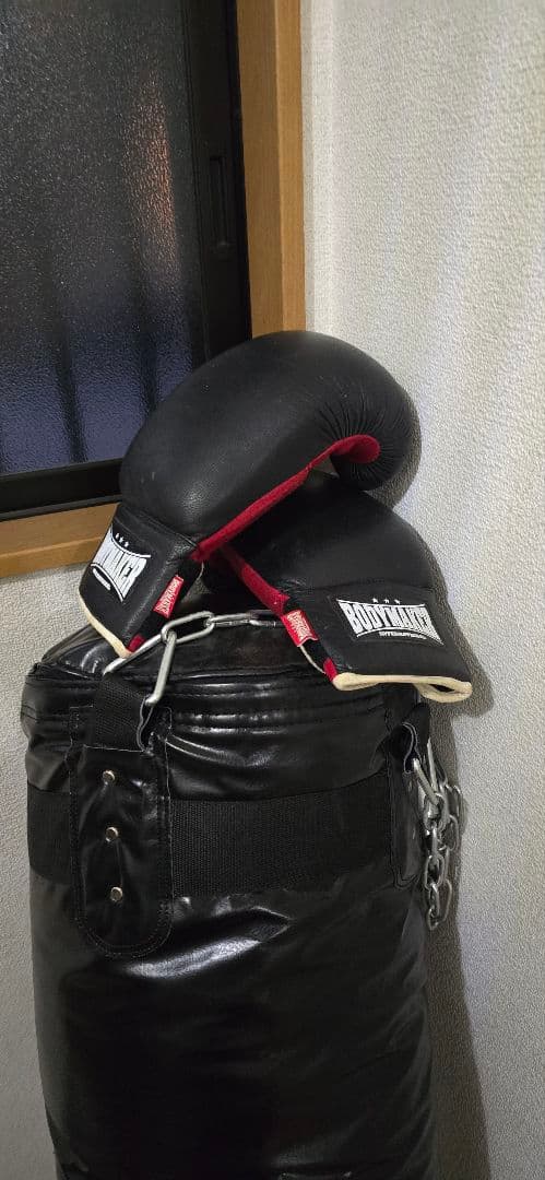 サンドバッグ ボクシンググローブ付き 格闘技