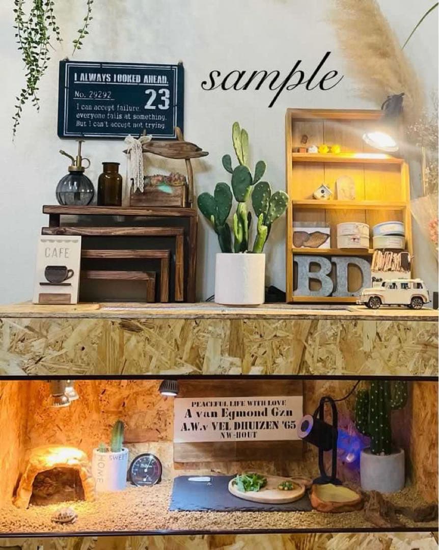 爬虫類ケージ　木製ケージ　リクガメ　フトアゴ　ハリネズミ プロフ必読　送料込み