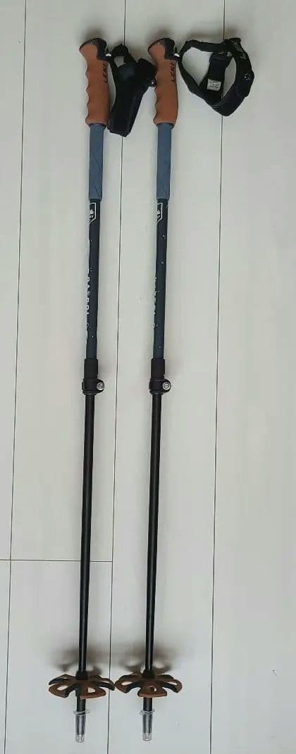 レキ　伸縮式ストック