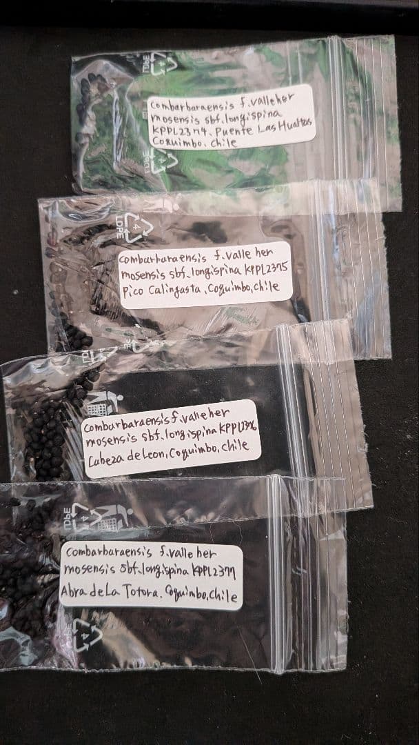 エリオシケ　いろいろ種子セット　４６種類　各５粒ずつ